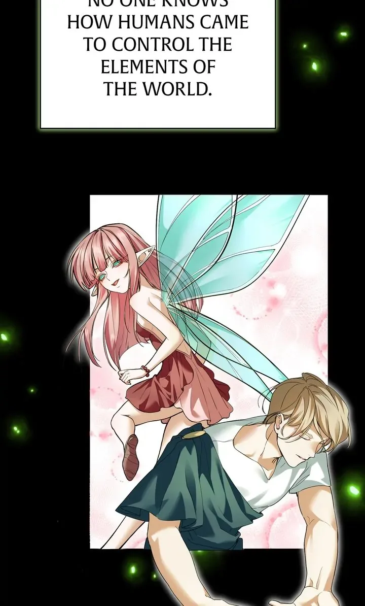 The Fairy Legacy Chapter 40 page 43