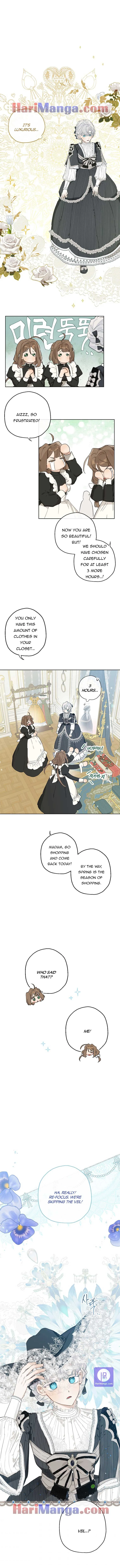 When The Count’s Illegitimate Daughter Gets Married Chapter 40 page 6
