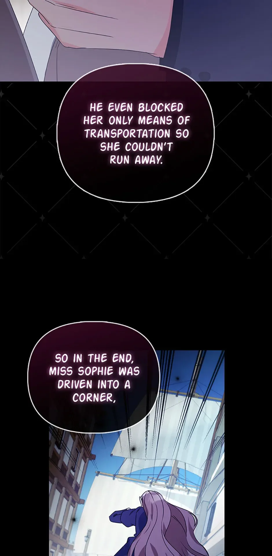 The Fake Rides in a Flower Kiln Chapter 41 page 24