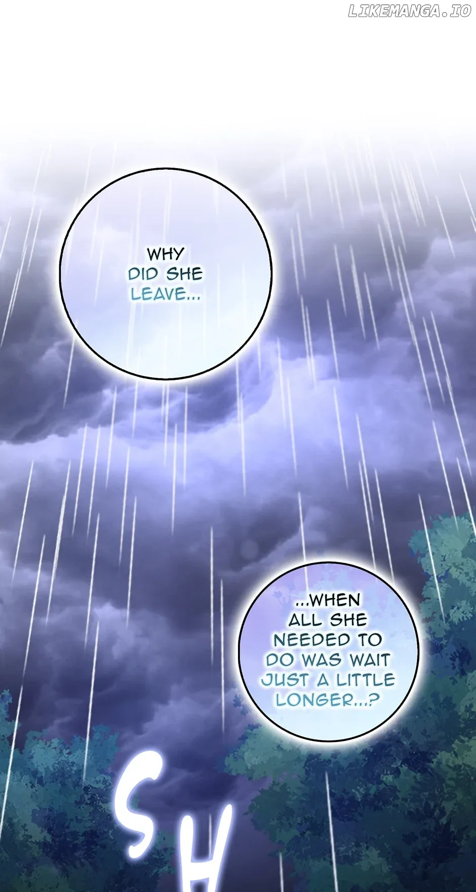 The Lost Cinderella Chapter 40 page 13