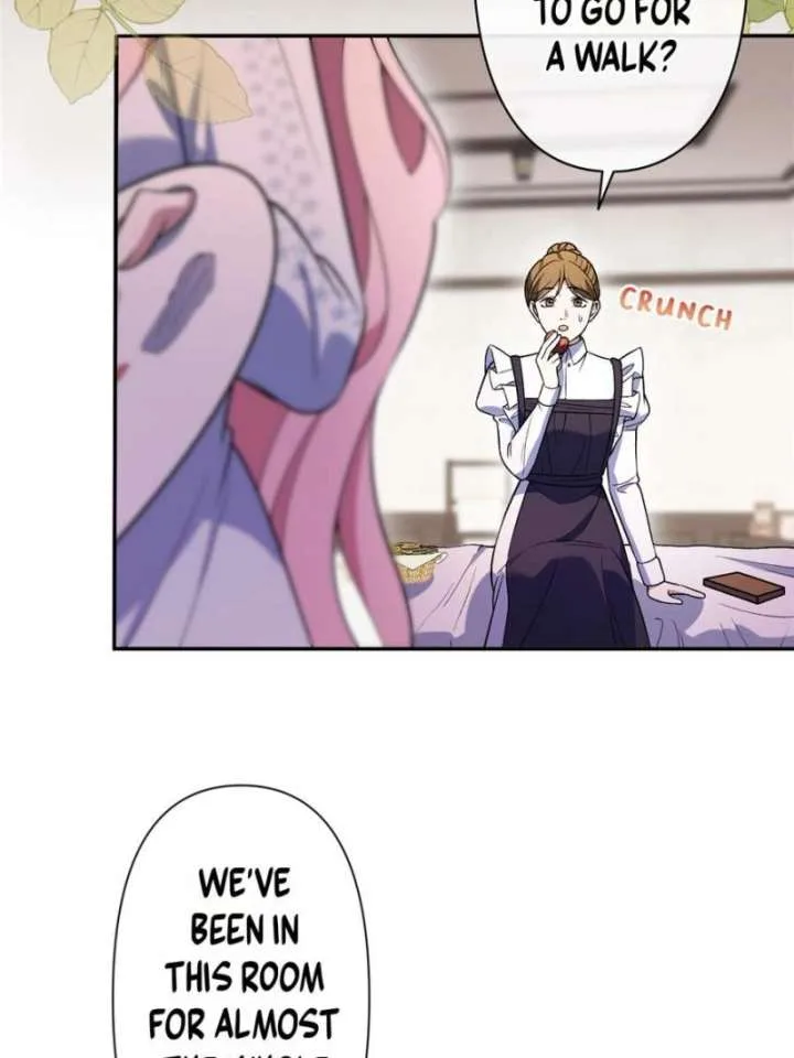 The Duke’s Masked Wife Chapter 42 page 6