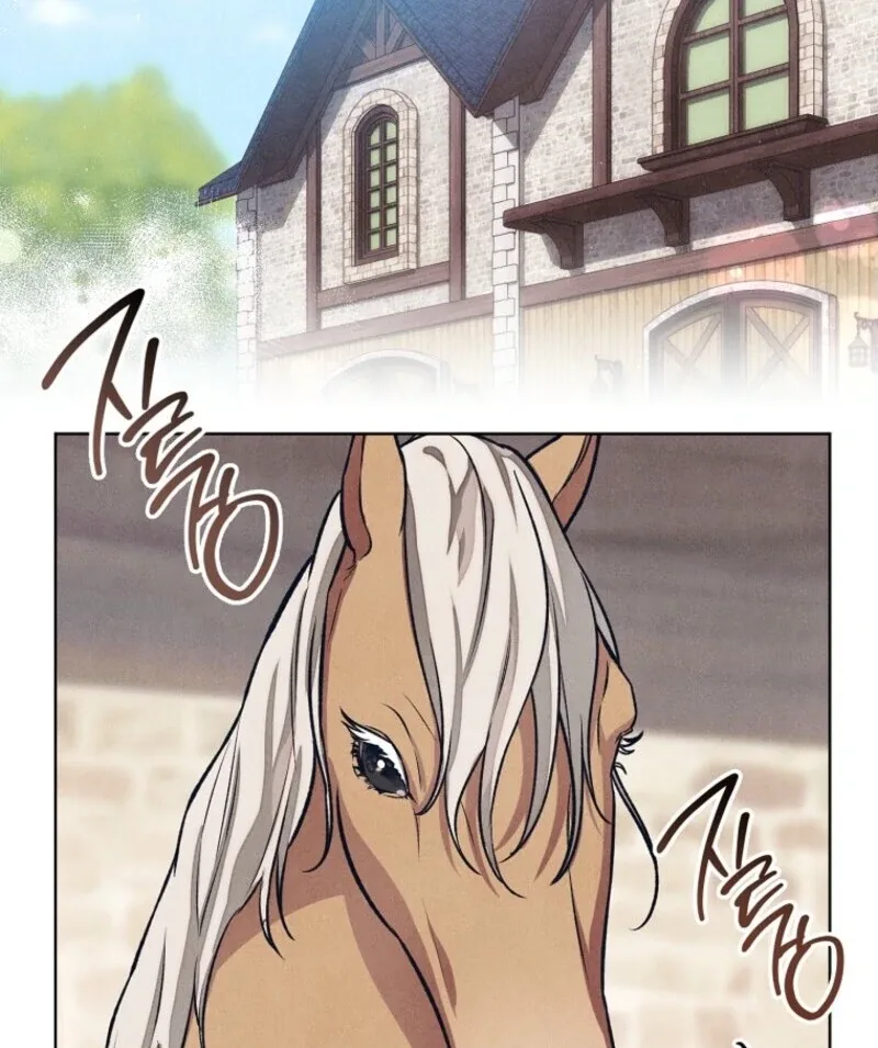 The Duke’s Obsession with His Wife Chapter 42 page 80