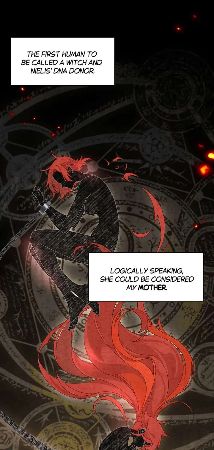 The Reborn Witch Raises a Templar Chapter 41 page 11