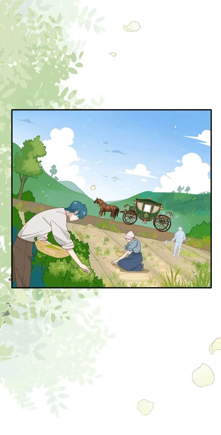 The Reborn Witch Raises a Templar Chapter 42 page 15