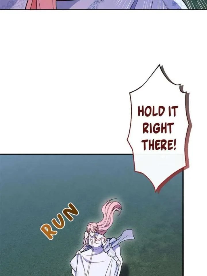 The Duke’s Masked Wife Chapter 44 page 30