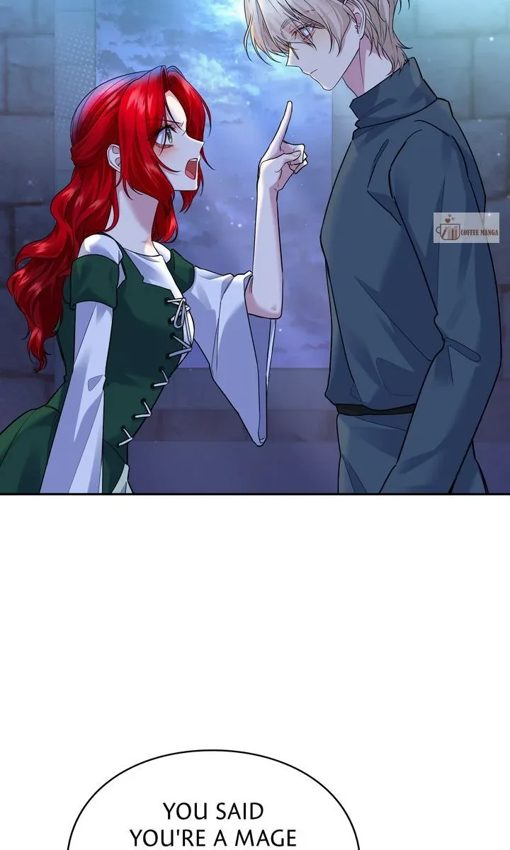 The Fairy Legacy Chapter 45 page 36