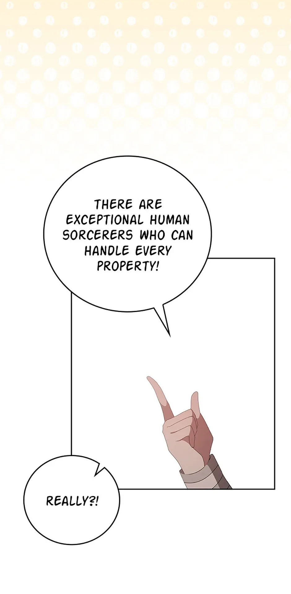 The Reason I Have to Be a Villain Chapter 46.5 page 73