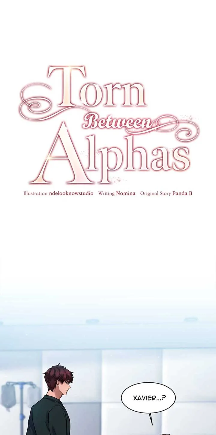 Torn Between Alphas Chapter 47 page 2