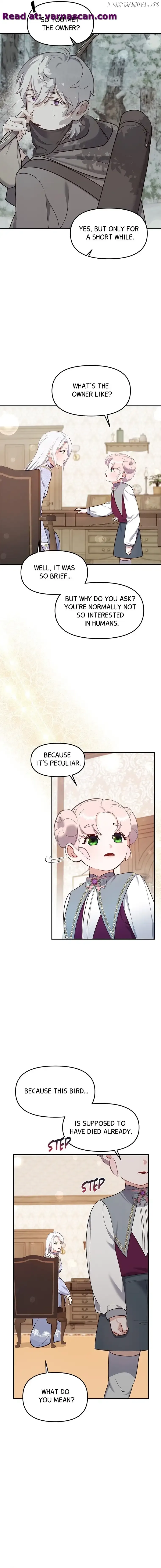 The Fake Duchess In Distresss Chapter 49 page 9