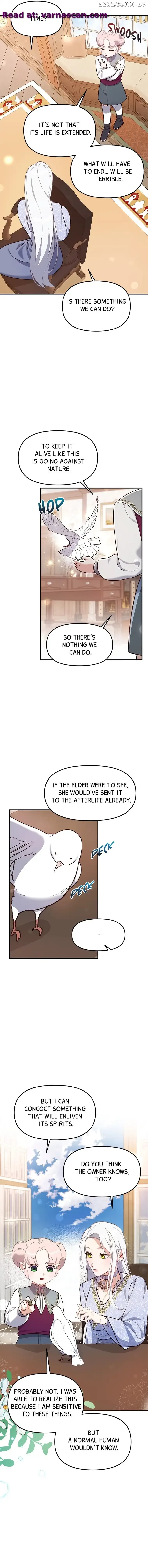 The Fake Duchess In Distresss Chapter 49 page 11