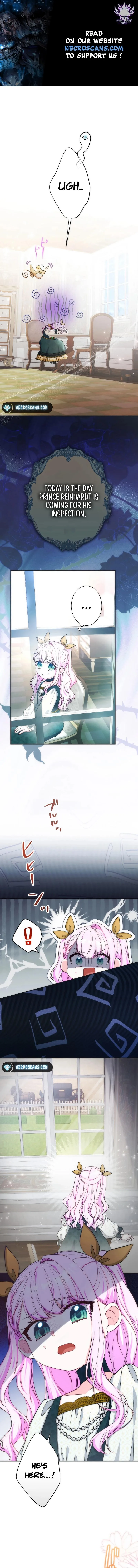 The Young Lord of House Finlanz Chapter 48 page 2