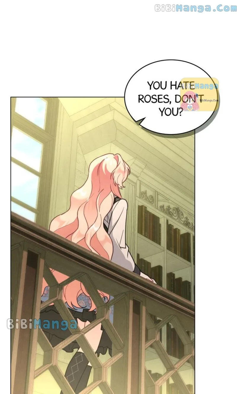 The golden dawn light will shine for you Chapter 49 page 49