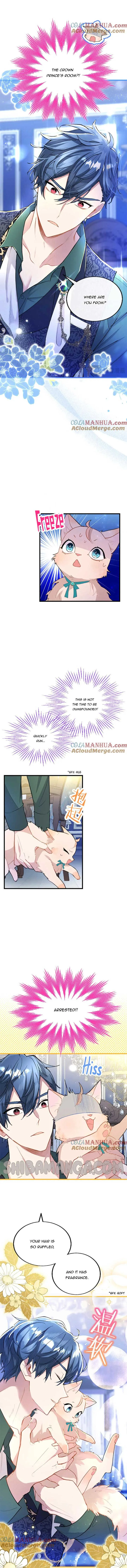 The Reason Why The Twin Lady Crossdresses Chapter 50 page 13