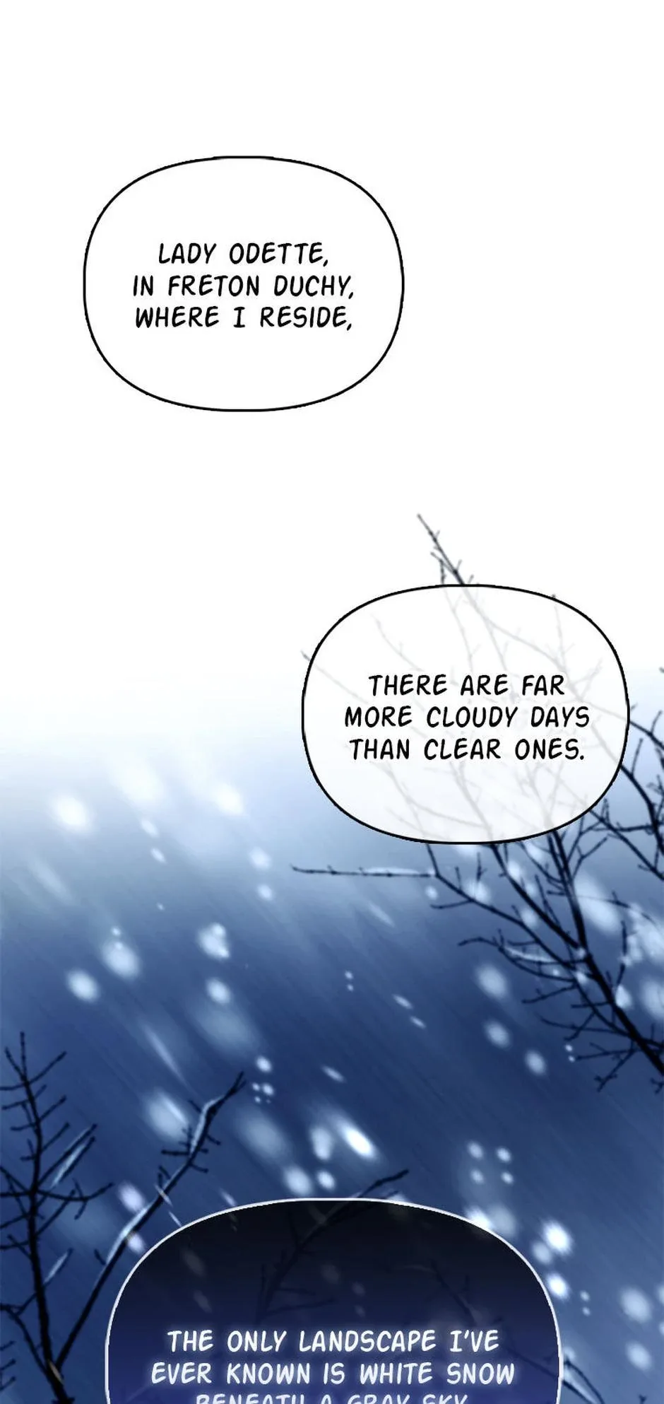 The Fake Rides in a Flower Kiln Chapter 51 page 47