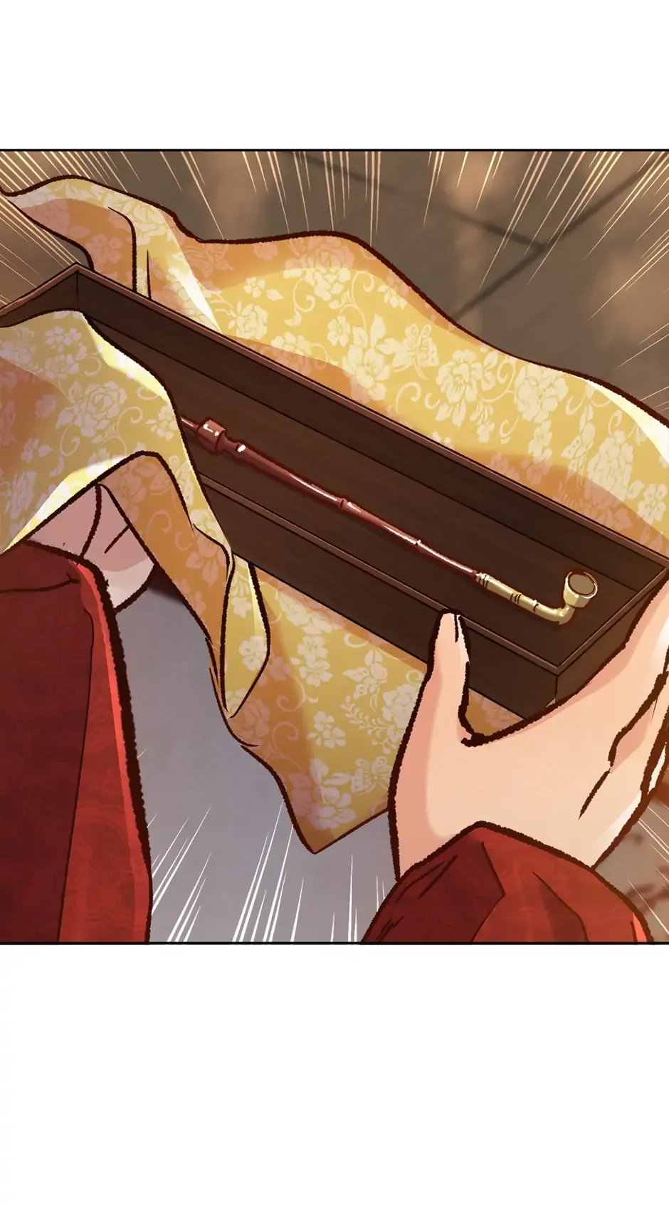 The Red Sleeve Chapter 51 page 25