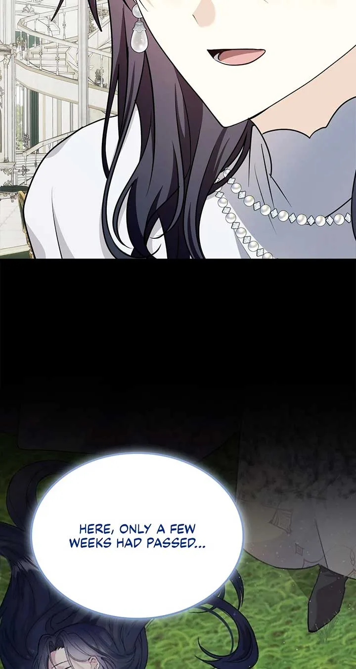 The Duke And Duchess Divorce Circumstances Chapter 52 page 27