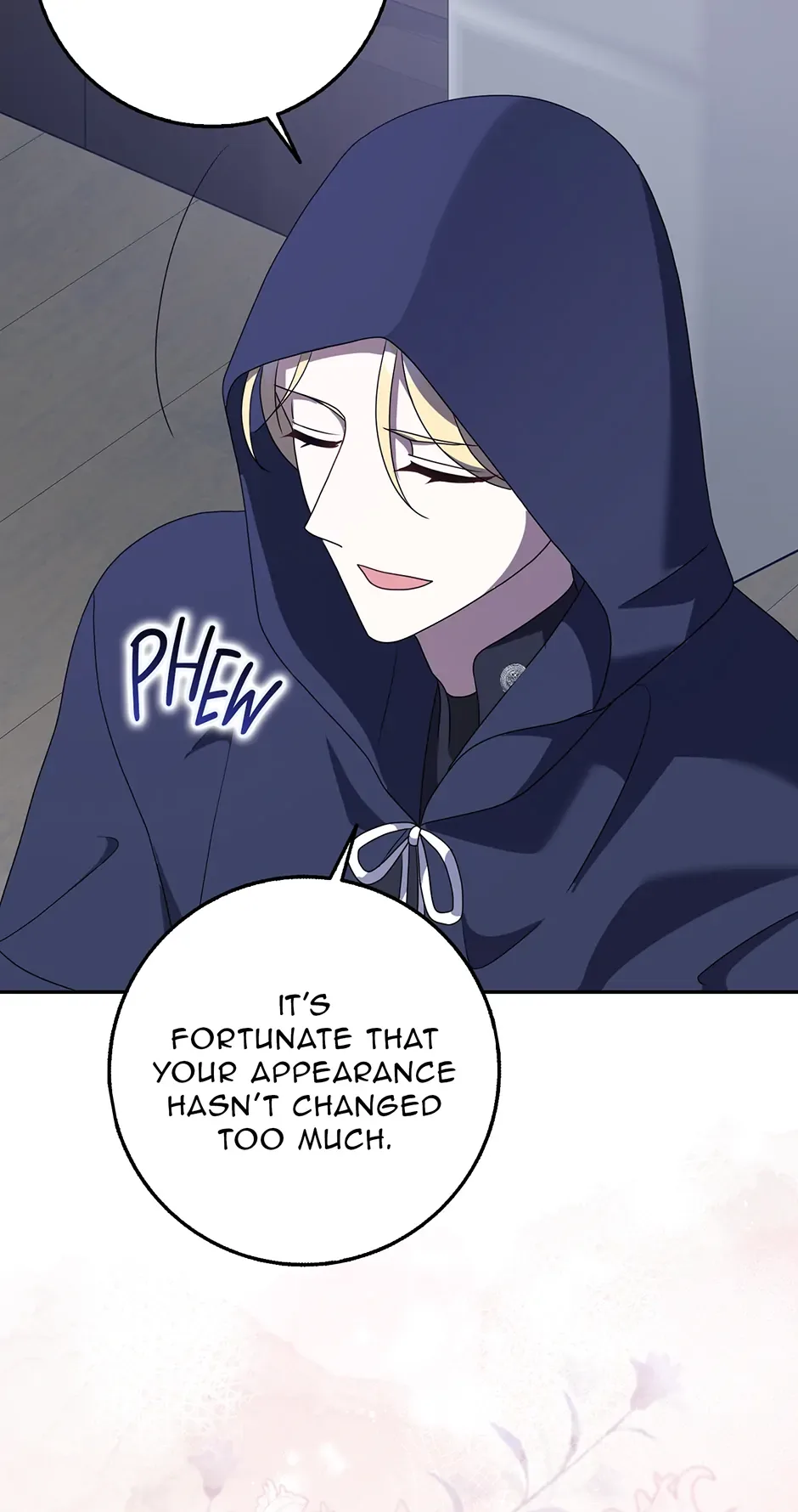 The Lost Cinderella Chapter 51 page 29