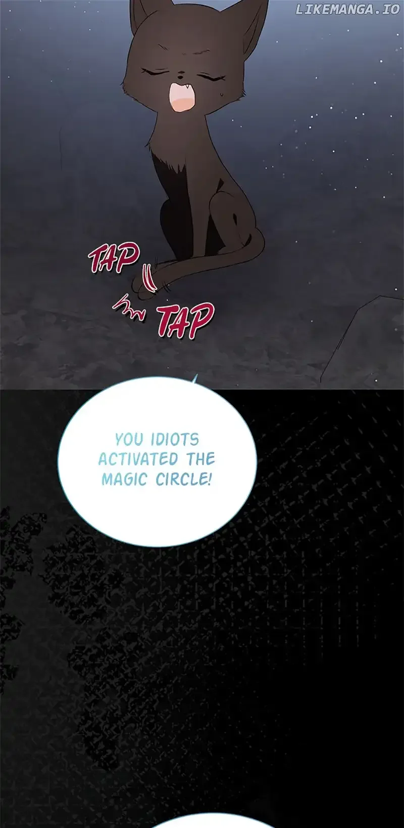 Why Are You Obsessed With Your Fake Wife? Chapter 52 page 71