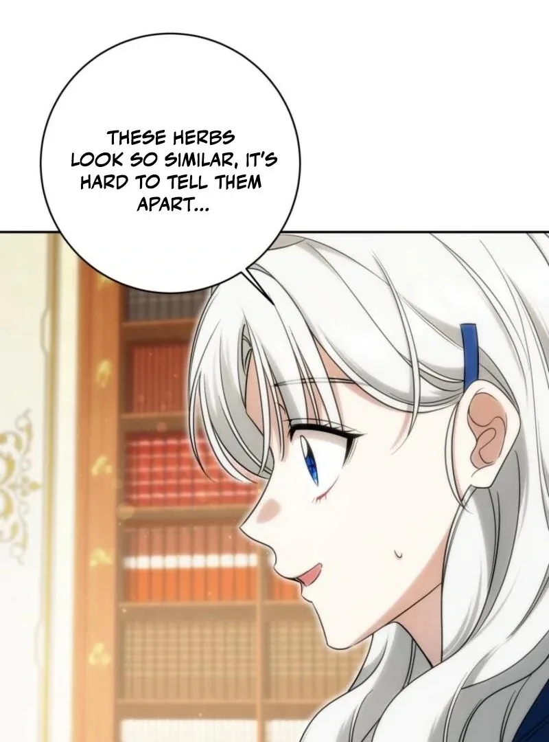 The Obsessive Emperor’s Capable Pharmacist Chapter 53 page 87