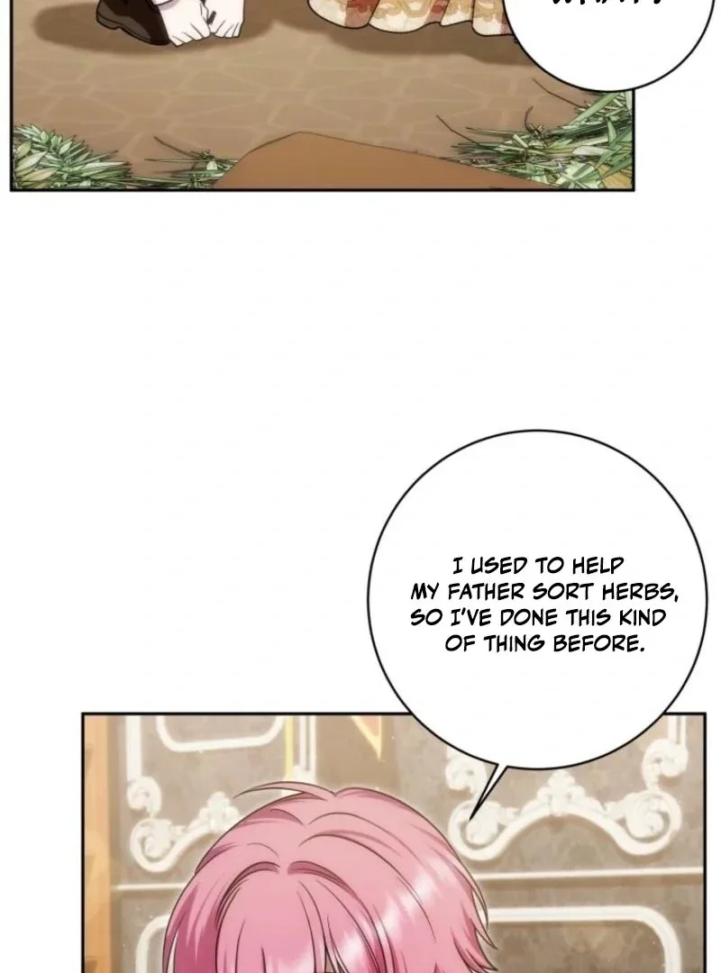 The Obsessive Emperor’s Capable Pharmacist Chapter 53 page 91