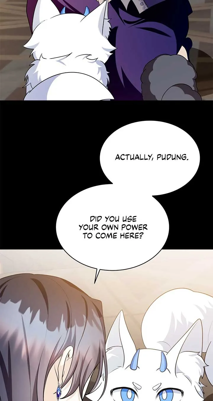 The Duke And Duchess Divorce Circumstances Chapter 55 page 33