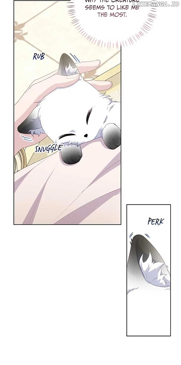 The villain’s young backer Chapter 56 page 71