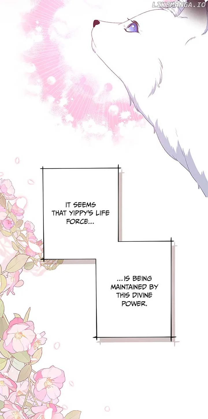 The villain’s young backer Chapter 56 page 69