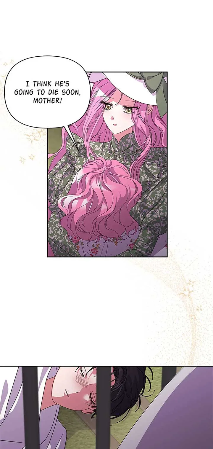 The Obsessive Second Male Lead Has Gone Wild Chapter 58 page 26