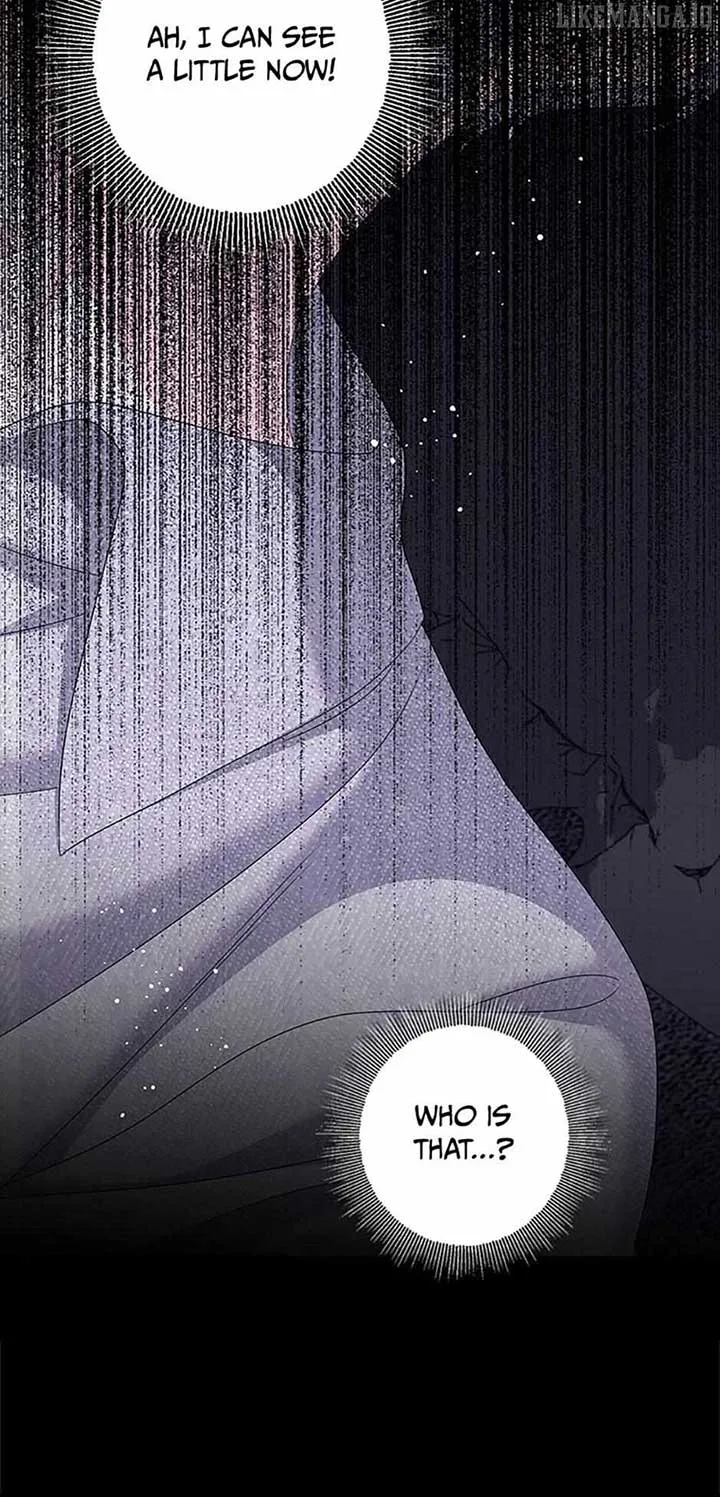 The Obsessive Male Lead Made Me The Female Lead Chapter 60 page 42