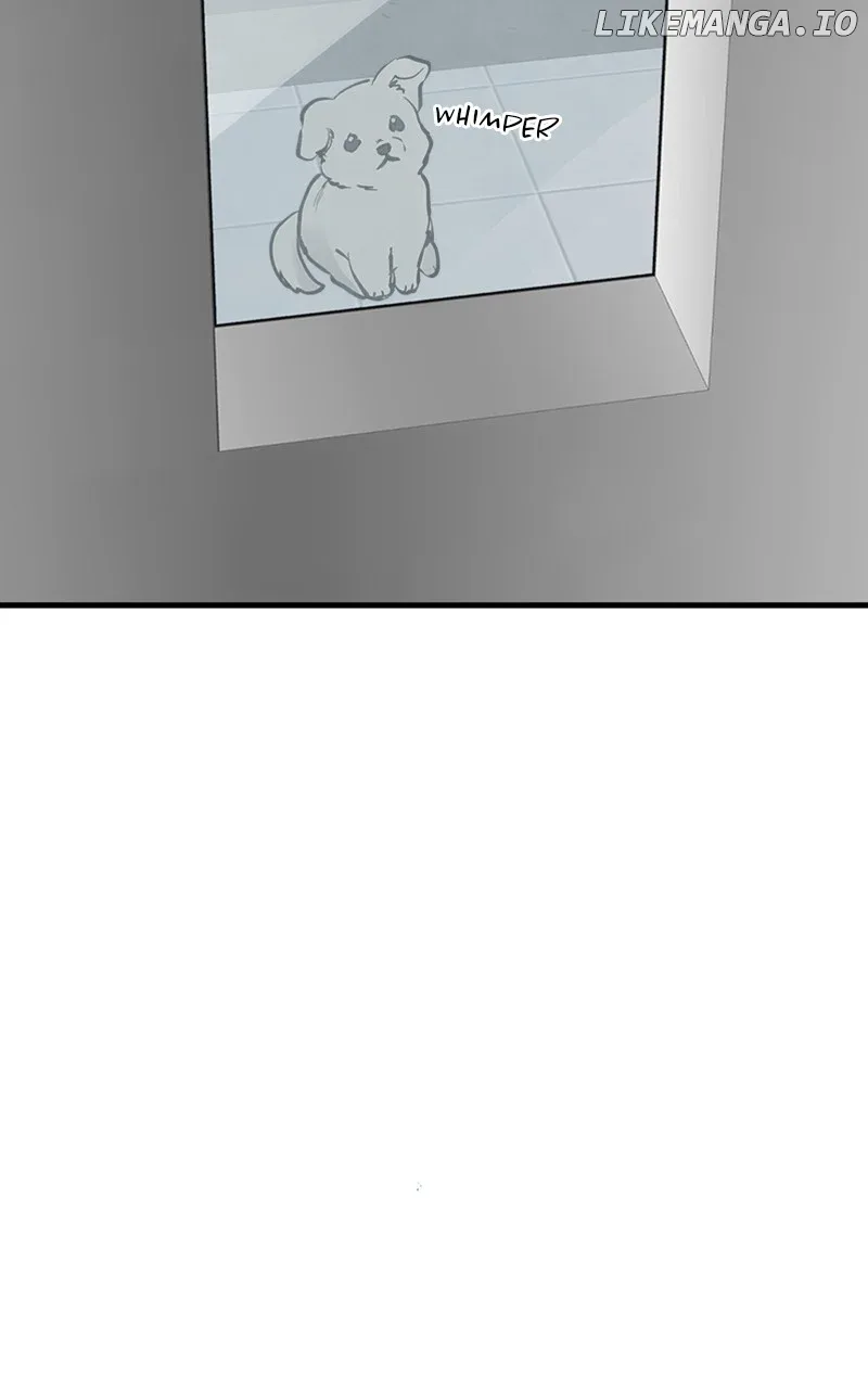 The Team Leader is Tired of Being A Newlywed Chapter 59 page 12