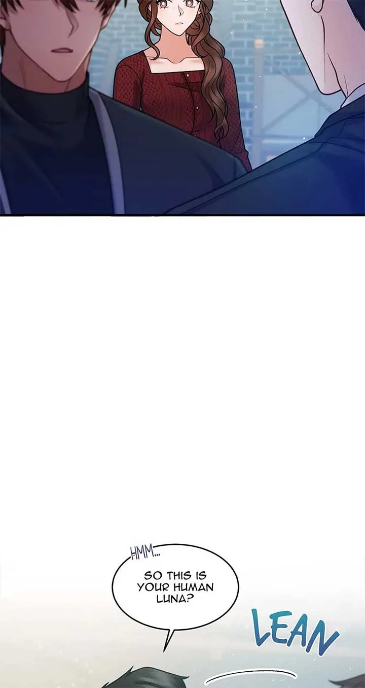 Torn Between Alphas Chapter 59 page 43