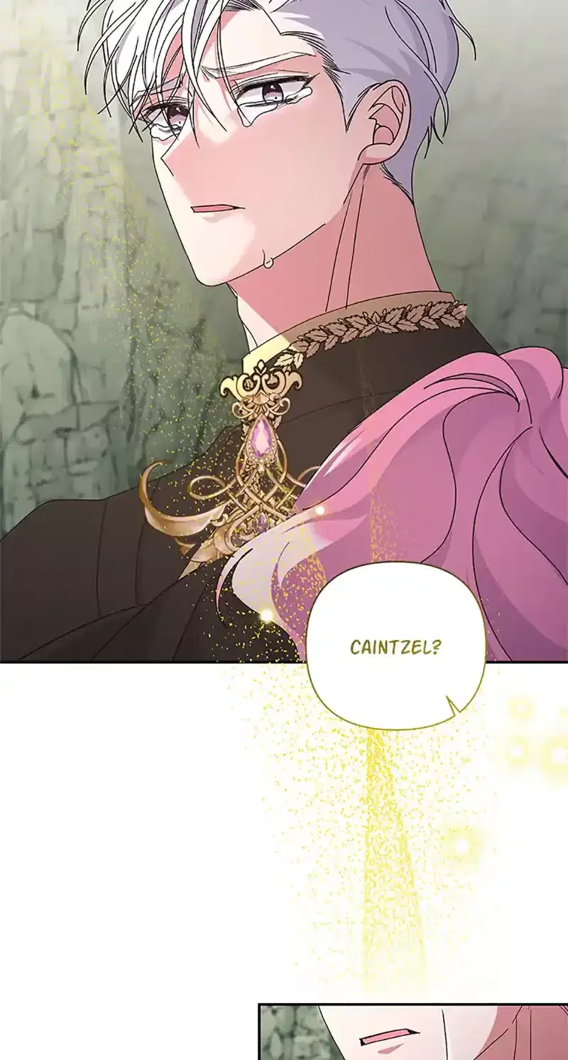 The Obsessive Second Male Lead Has Gone Wild Chapter 61 page 48