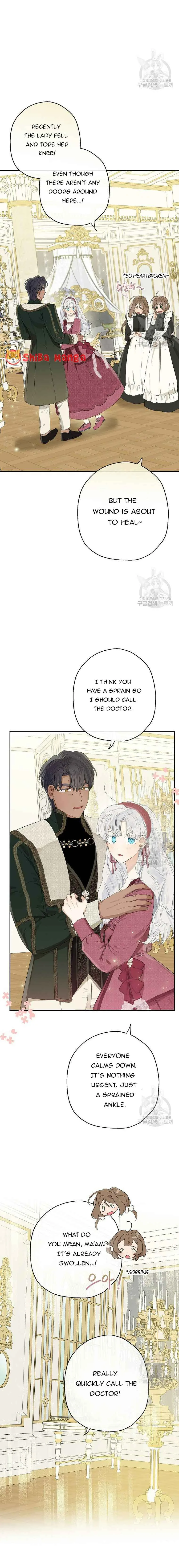 When The Count’s Illegitimate Daughter Gets Married Chapter 62 page 12