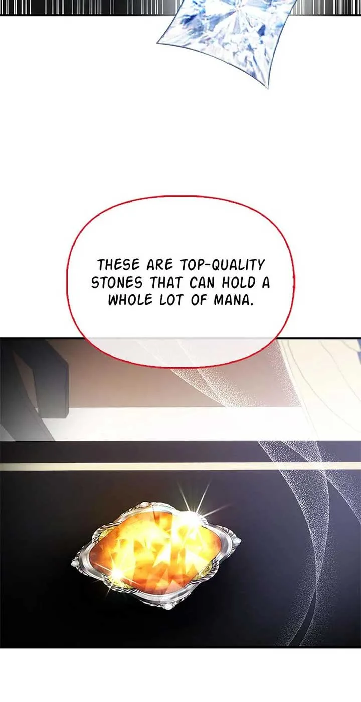 The Fake Rides in a Flower Kiln Chapter 63 page 46