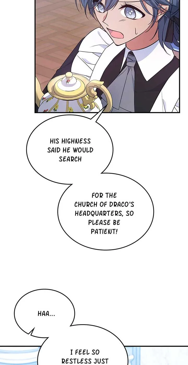 The Invicible Princess Is Bored Again Today Chapter 63 page 25