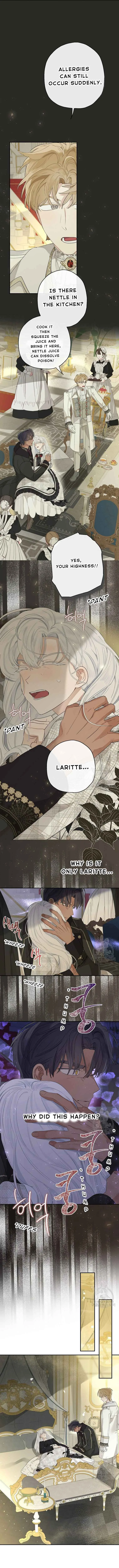 When The Count’s Illegitimate Daughter Gets Married Chapter 64 page 7