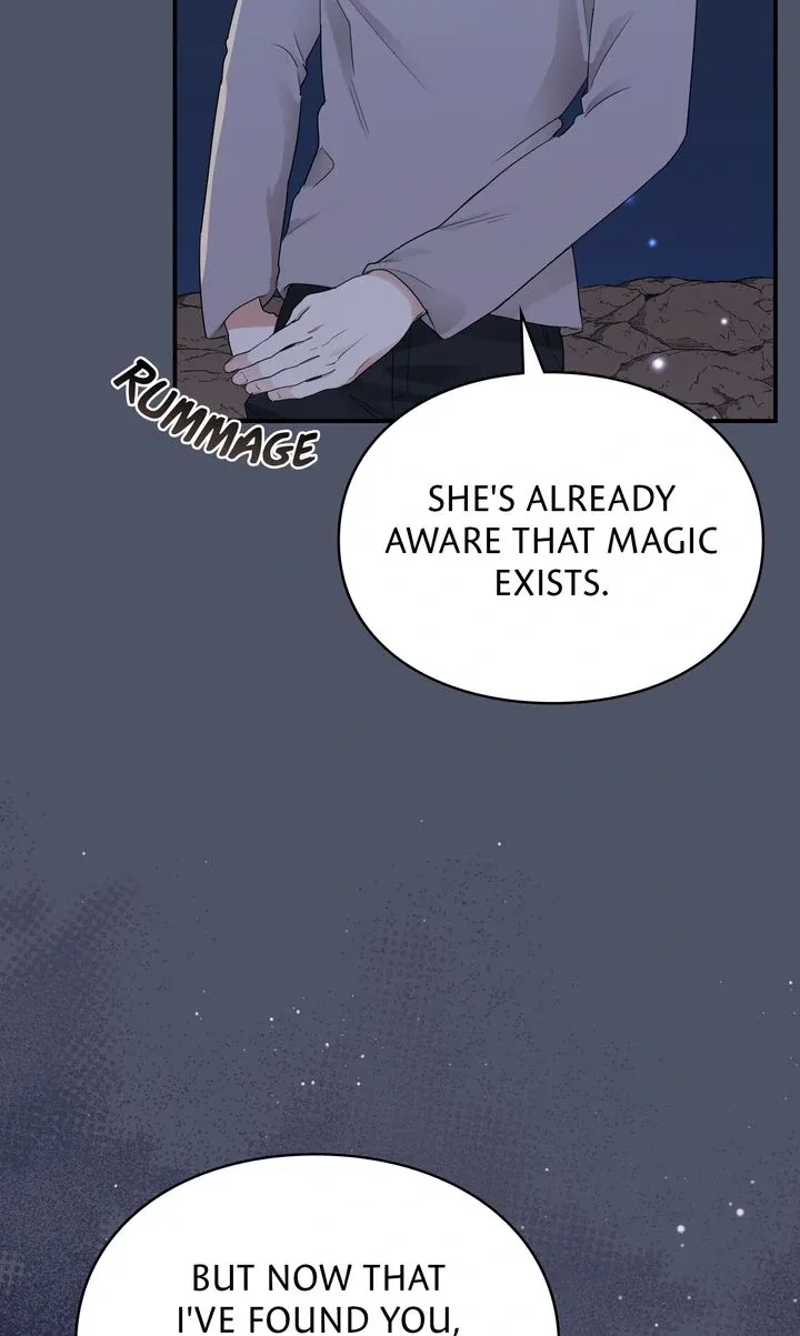 The Fairy Legacy Chapter 65 page 37