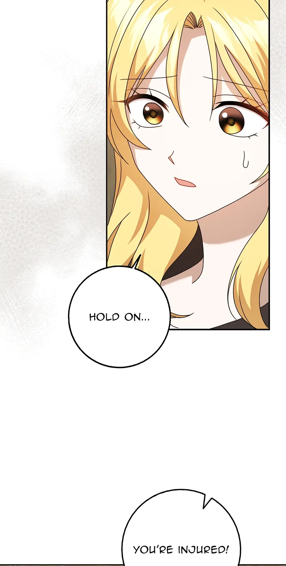 The Lost Cinderella Chapter 64 page 9