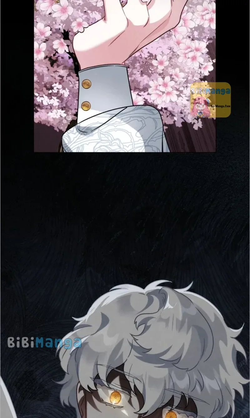 The golden dawn light will shine for you Chapter 65 page 71
