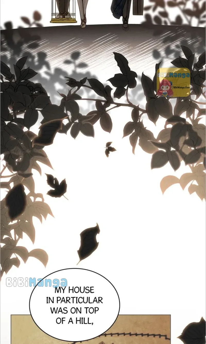 The golden dawn light will shine for you Chapter 66 page 49