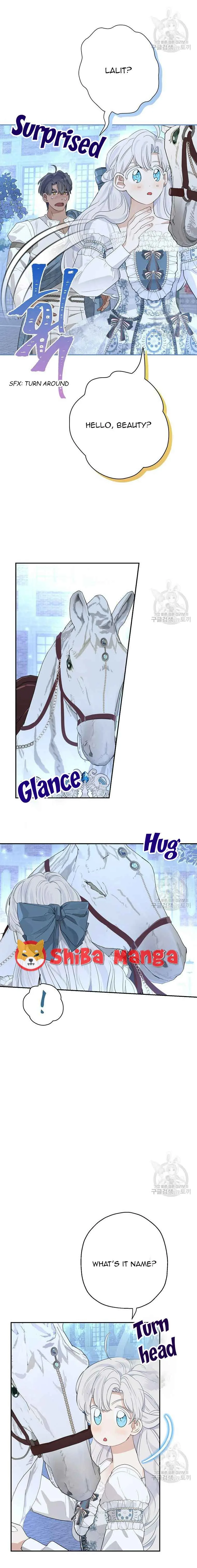 When The Count’s Illegitimate Daughter Gets Married Chapter 67 page 8