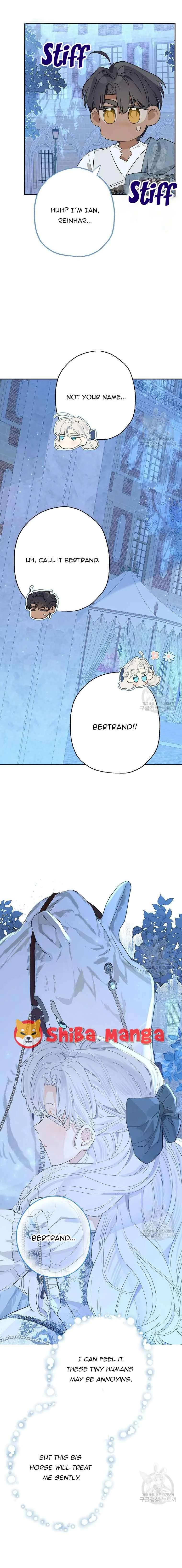 When The Count’s Illegitimate Daughter Gets Married Chapter 67 page 9