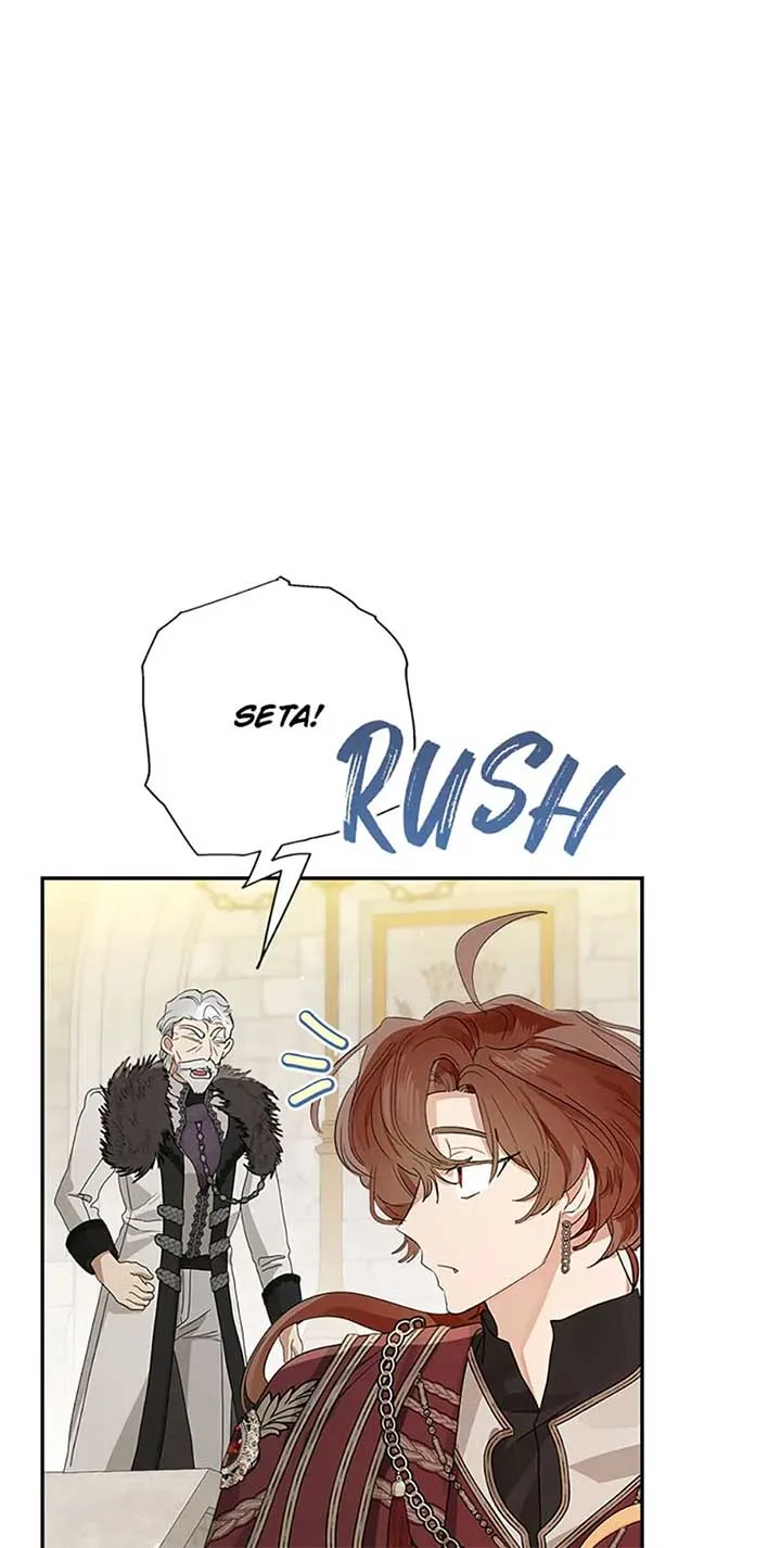 When The Count’s Illegitimate Daughter Gets Married Chapter 68 page 48