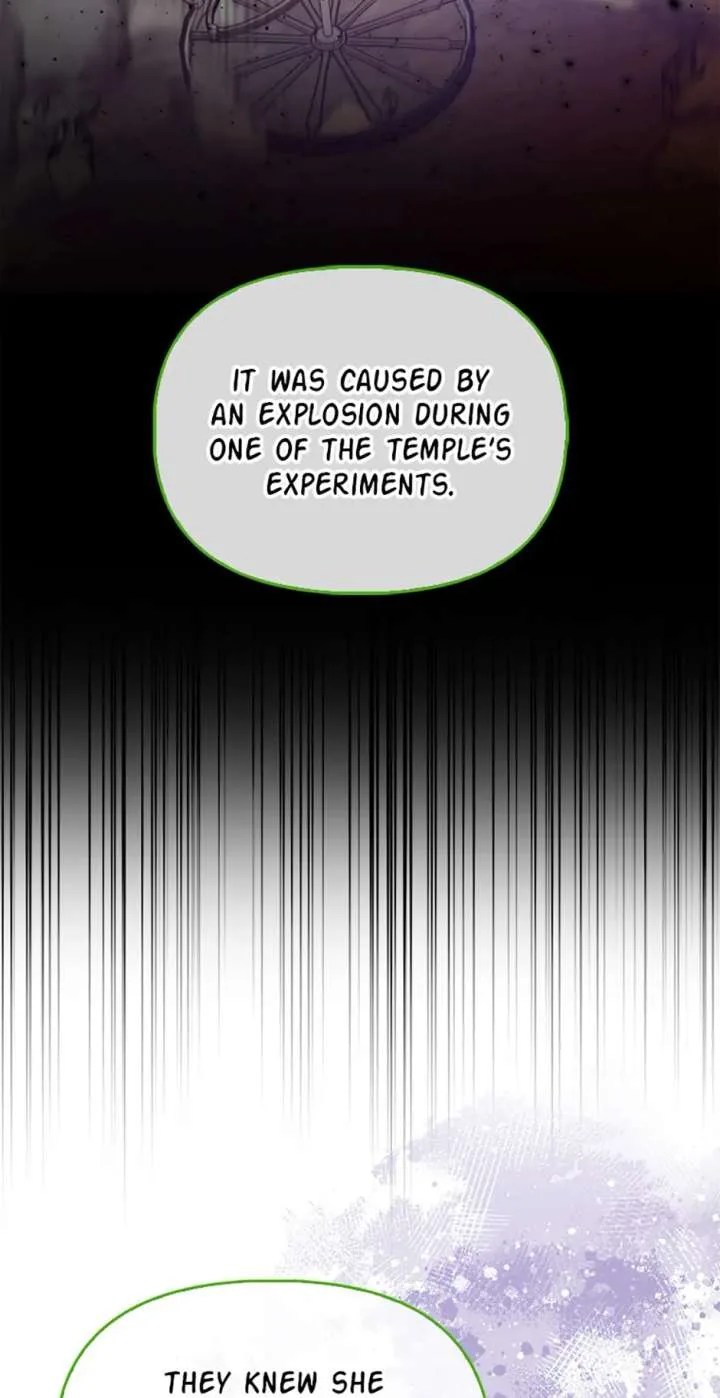 The Fake Rides in a Flower Kiln Chapter 69 page 7