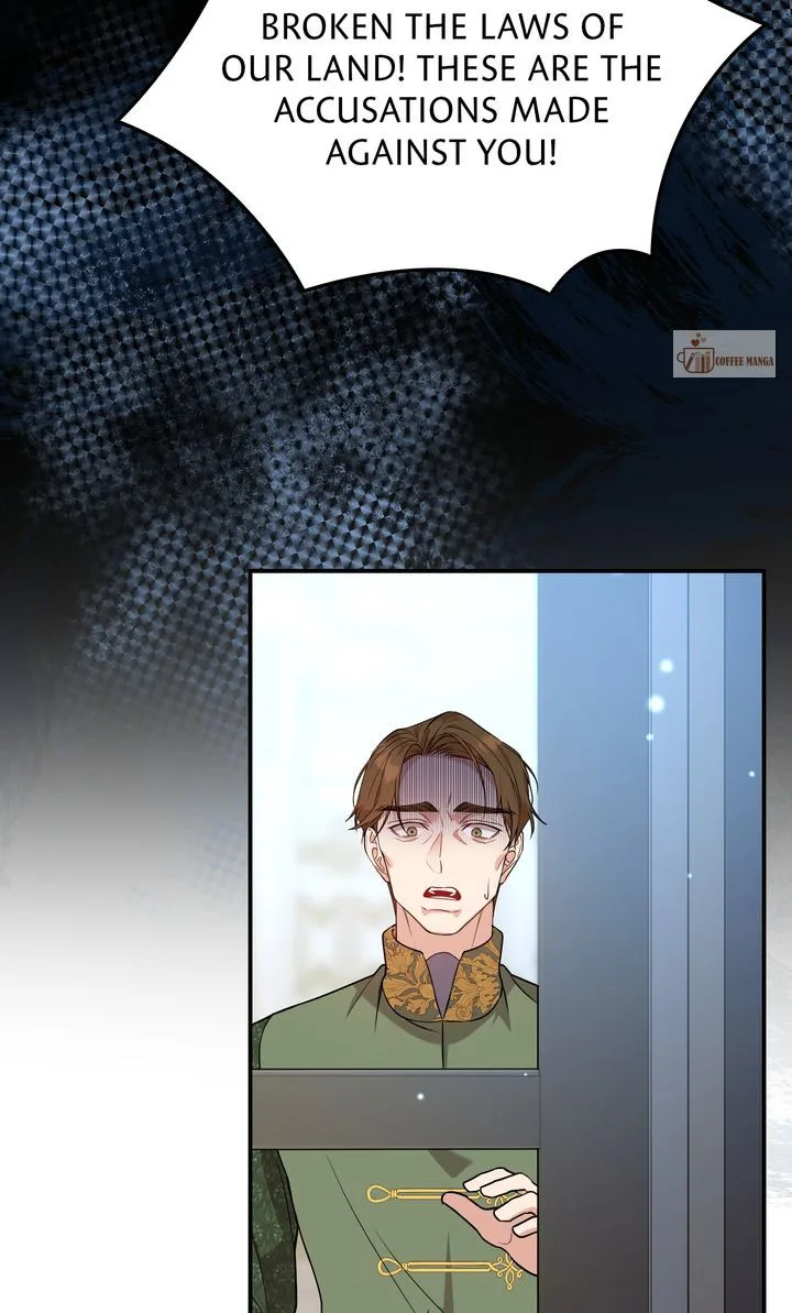 The Fairy Legacy Chapter 69 page 74