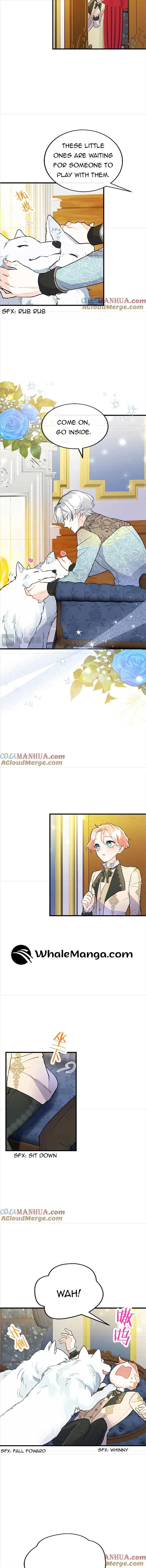 The Reason Why The Twin Lady Crossdresses Chapter 71 page 4