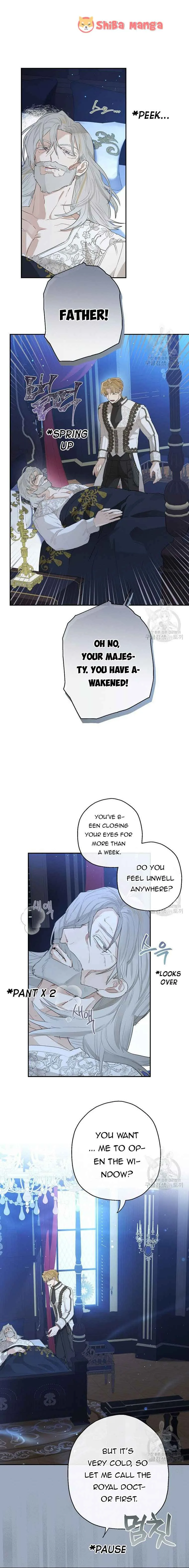 When The Count’s Illegitimate Daughter Gets Married Chapter 71 page 4