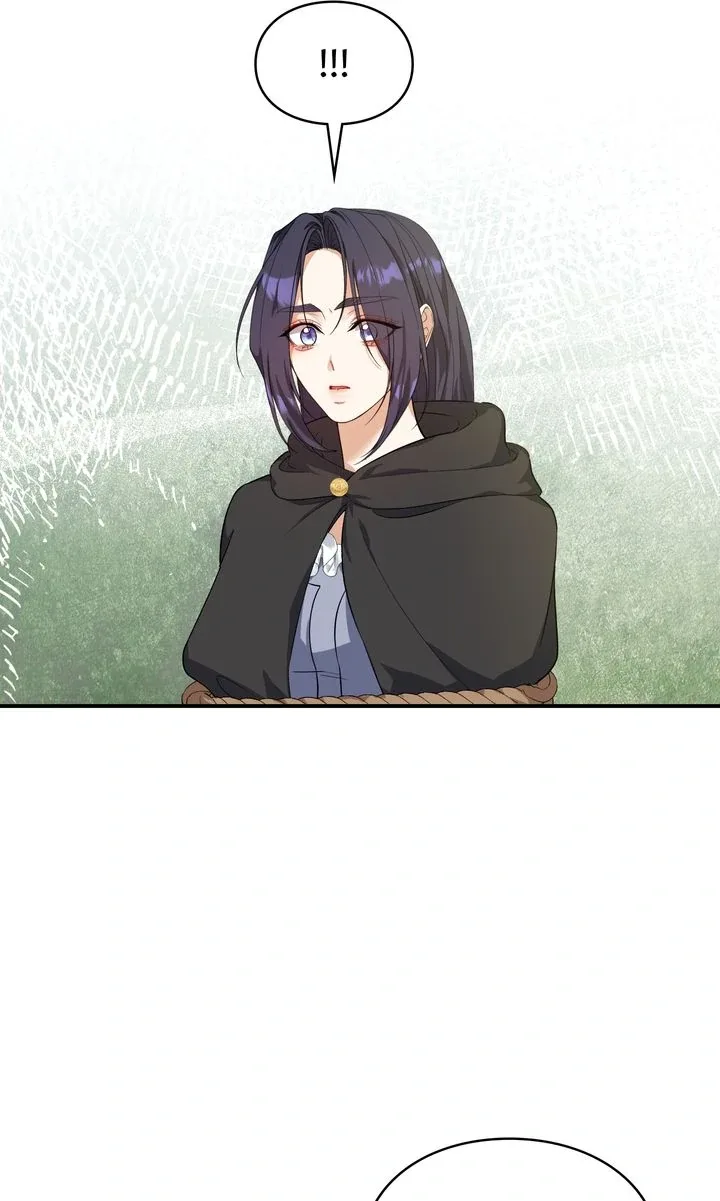 The Fairy Legacy Chapter 72 page 26