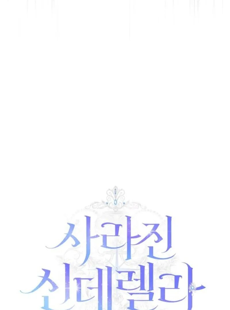 The Lost Cinderella Chapter 73 page 28