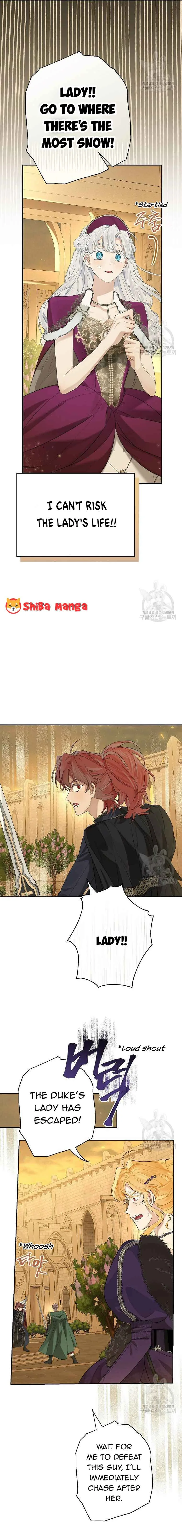 When The Count’s Illegitimate Daughter Gets Married Chapter 75 page 8